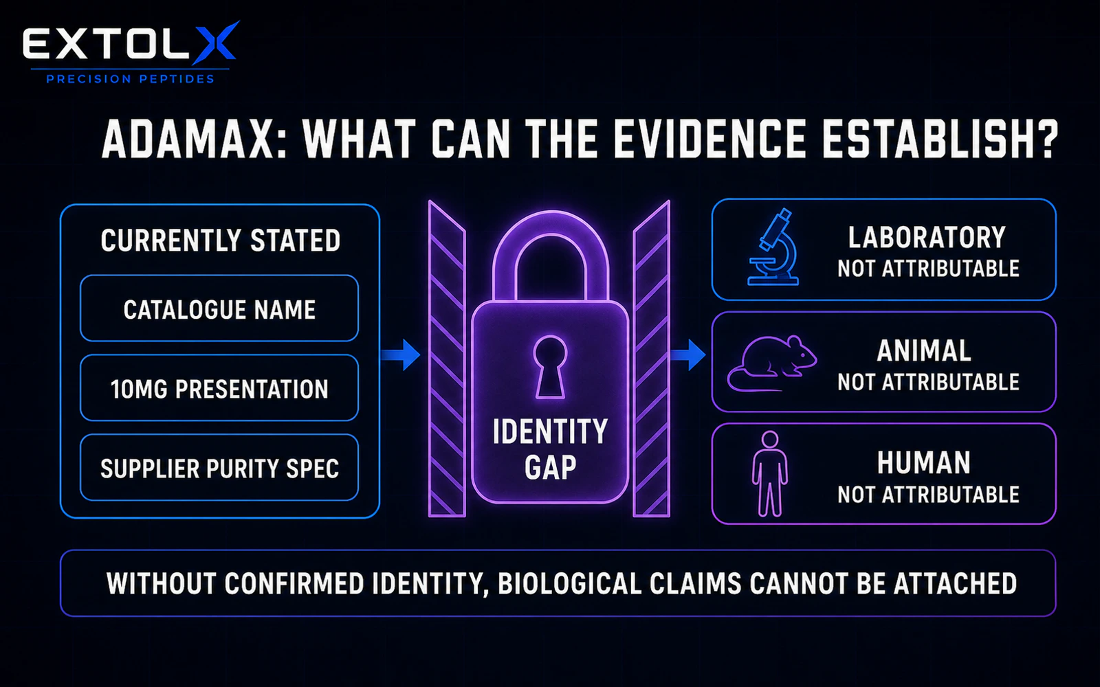 Adamax Explained: Why Molecular Identity Must Come Before Mechanism Claims ExtolX evidence diagram separating what is currently stated for Adamax from the sequence, formula, mechanism and biological evidence that remain unconfirmed.