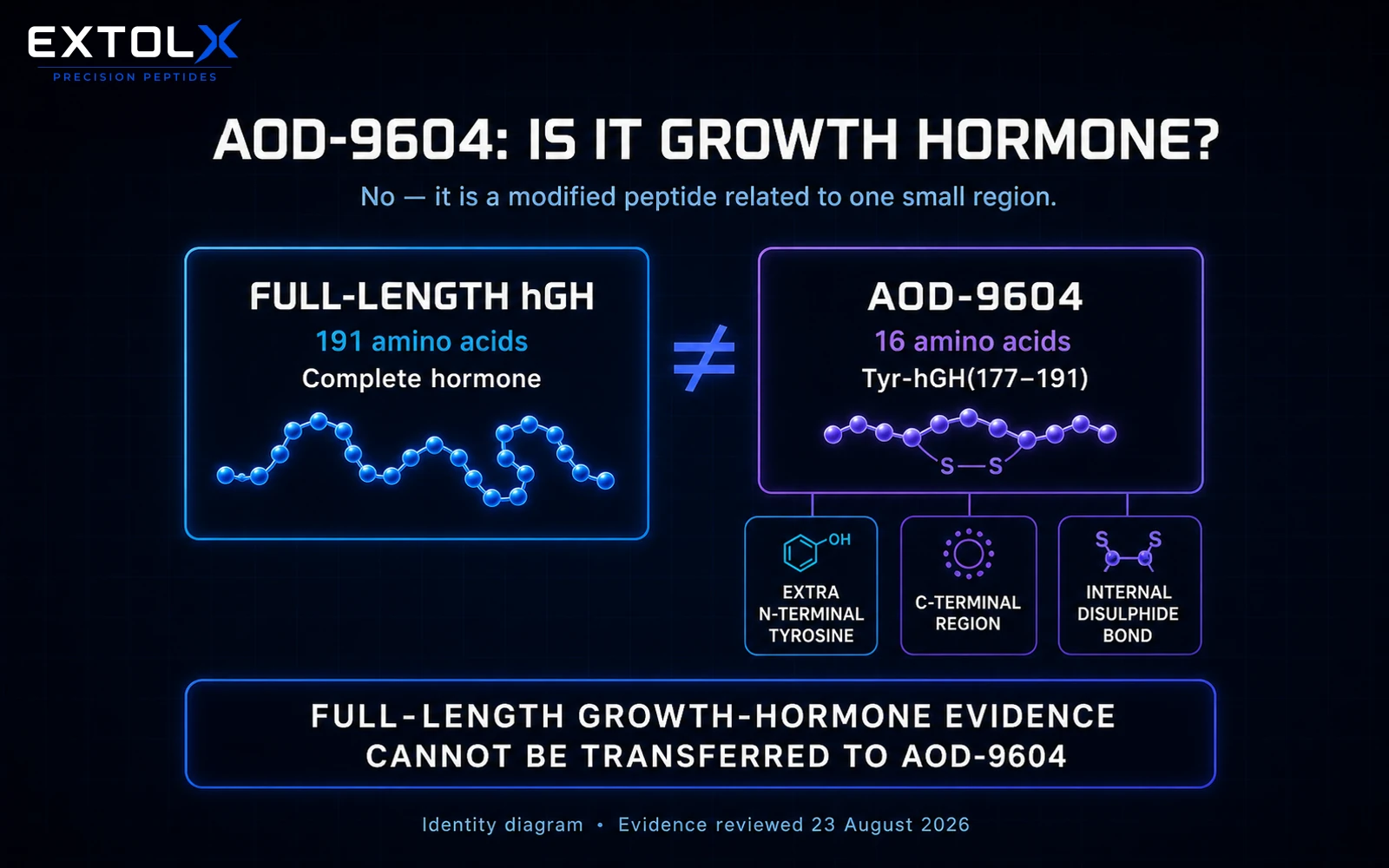 ExtolX diagram showing AOD-9604 as a modified 16-amino-acid peptide related to the 177 to 191 region of human growth hormone, not full-length growth hormone.