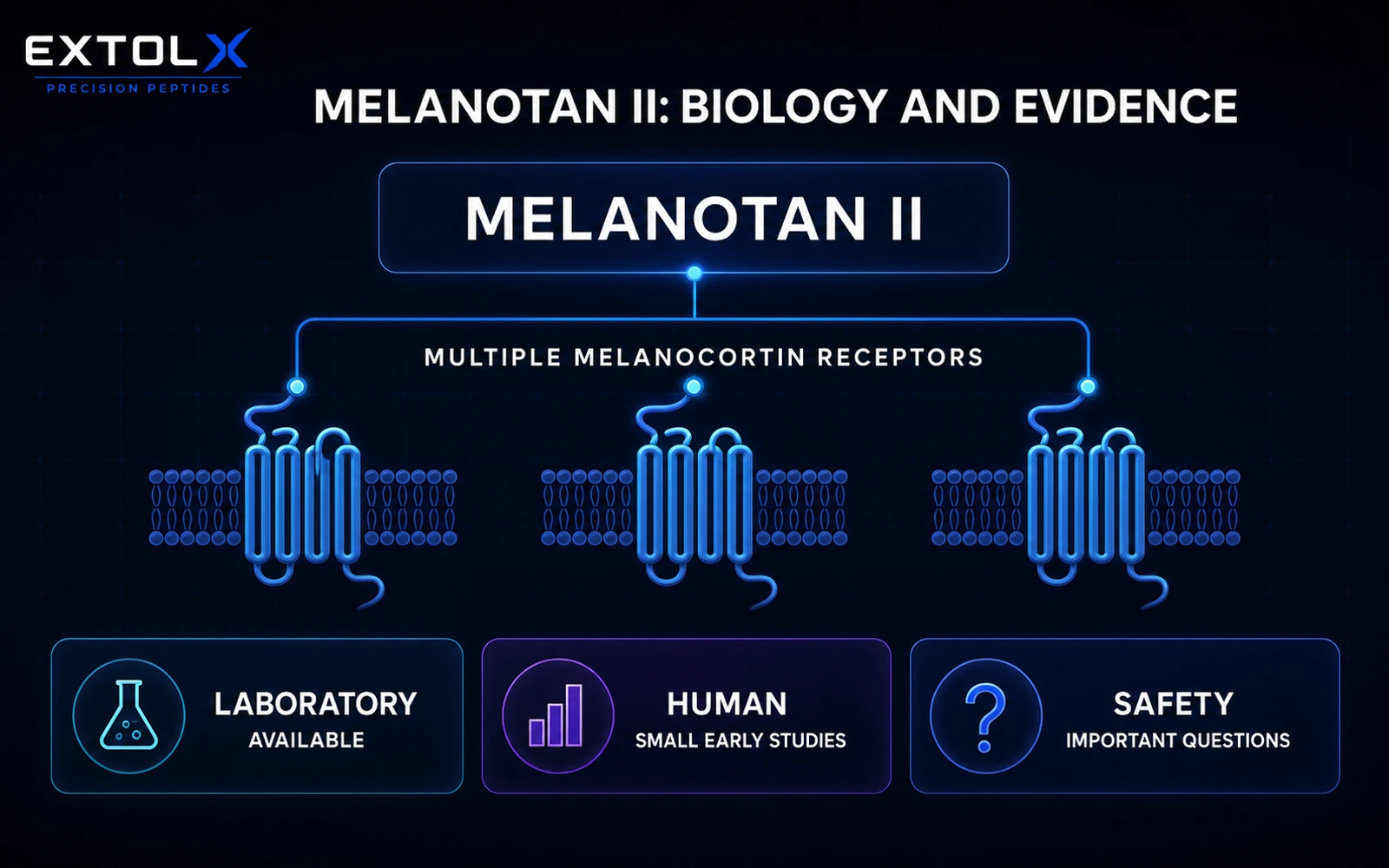 Melanotan II: Melanocortin Biology, Early Human Studies and Safety Questions ExtolX research diagram showing Melanotan II acting across multiple melanocortin receptors, with early human evidence and unresolved safety questions.