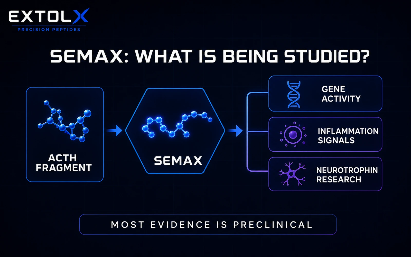 Semax: ACTH-Derived Peptide Research and Evidence Gaps ExtolX research diagram showing Semax as an ACTH-derived peptide studied mainly in laboratory and animal research, with limited human evidence.