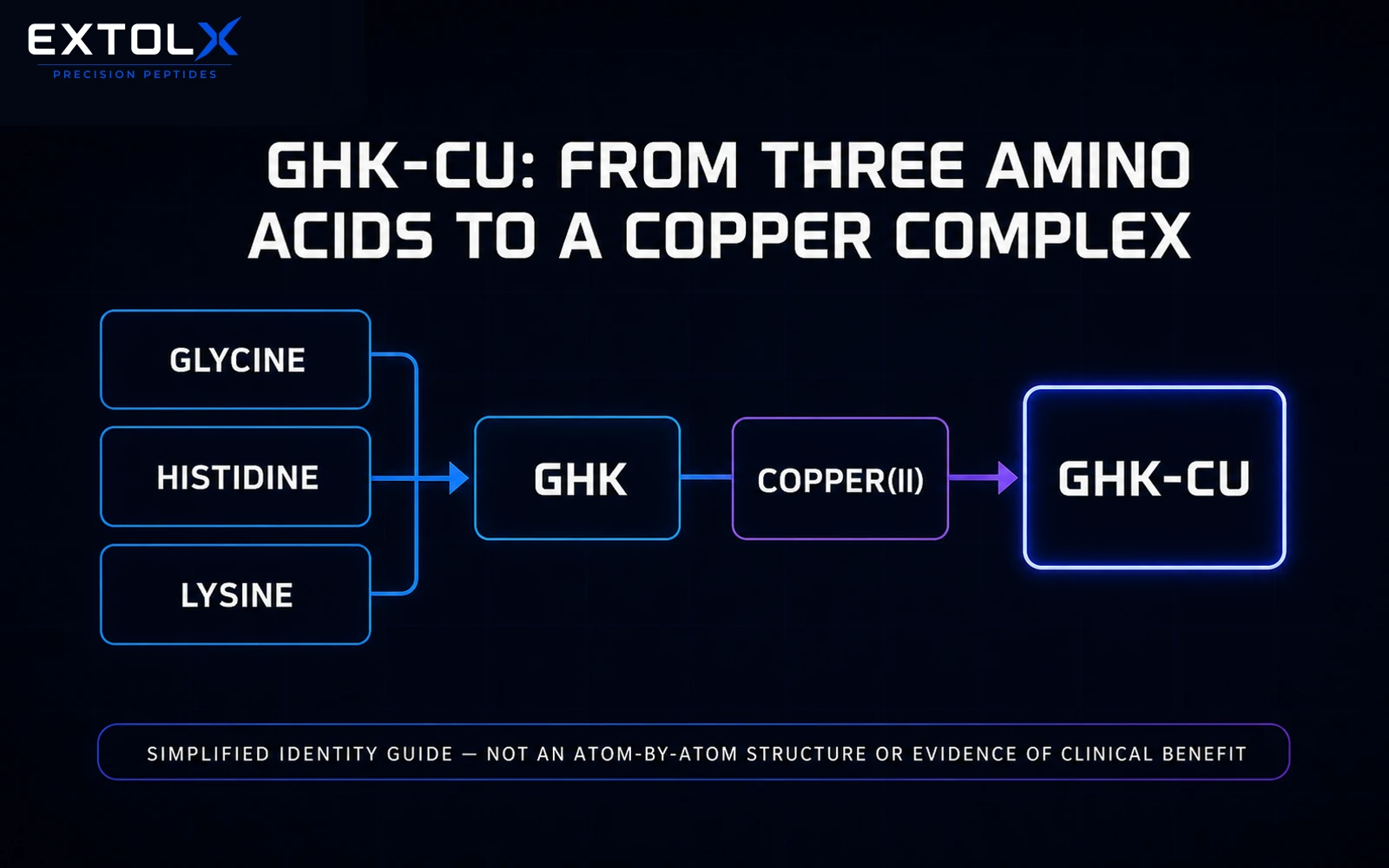 Simplified ExtolX diagram showing the GHK tripeptide, made from glycine, histidine and lysine, binding copper(II) to form GHK-Cu.