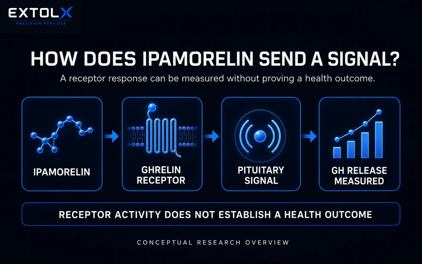 ExtolX diagram showing ipamorelin activating the ghrelin receptor and producing a measured pituitary growth-hormone signal without establishing a health outcome.