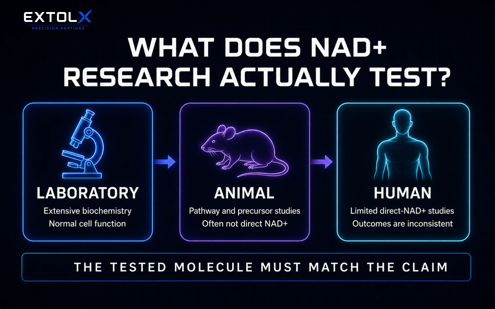 ExtolX infographic separating laboratory, animal and human NAD plus research and warning that the tested molecule must match the claim.