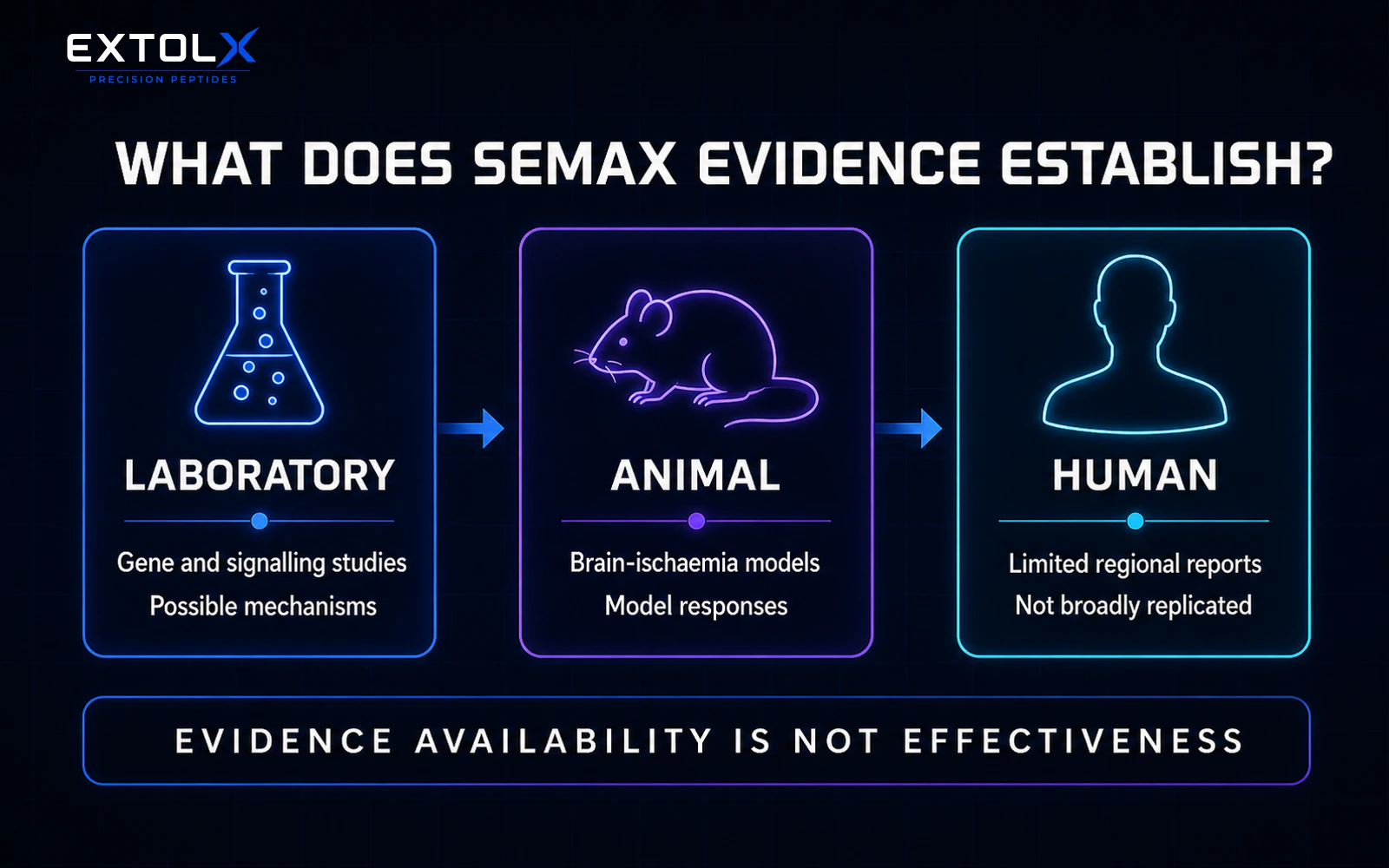 Semax: ACTH-Derived Peptide Research and Evidence Gaps ExtolX infographic separating Semax laboratory, animal and human evidence, showing possible mechanisms, model responses and limited regional human reports.