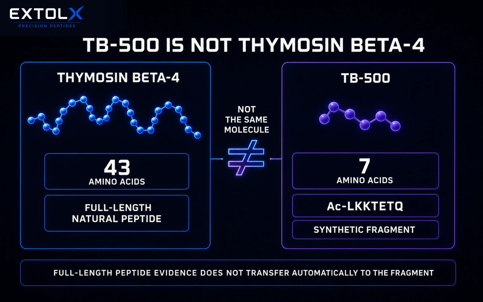 TB-500 Explained: How It Differs from Thymosin Beta-4 Comparison showing that full-length 43-amino-acid thymosin beta-4 and the seven-amino-acid TB-500 fragment Ac-LKKTETQ are different molecules.